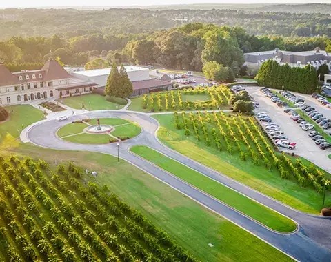 Elan The Presidential