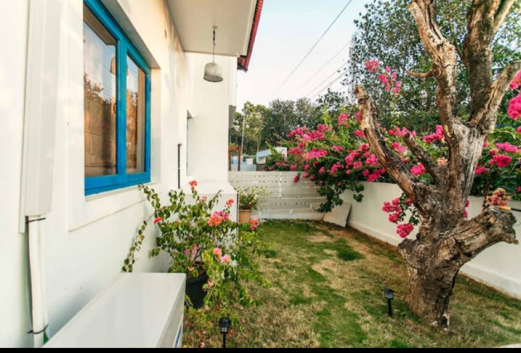 Bennet and Bernard Luxury Home Swimming Pool